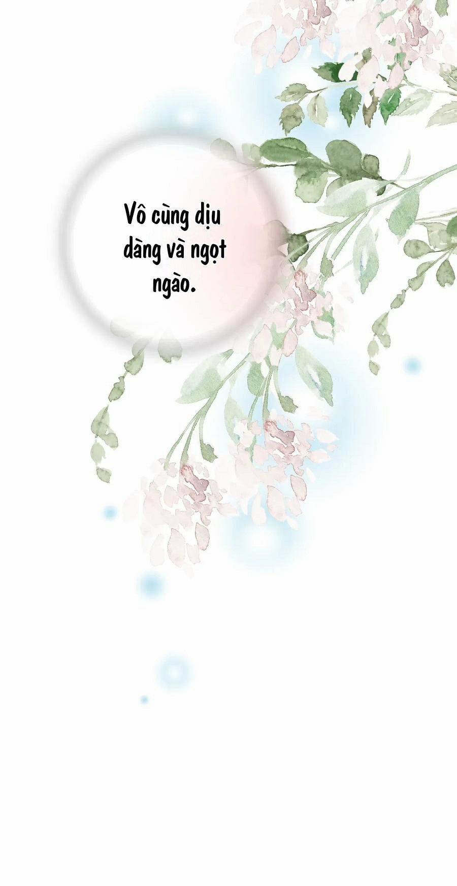 Hoa Vũ Dao 43 trang 52