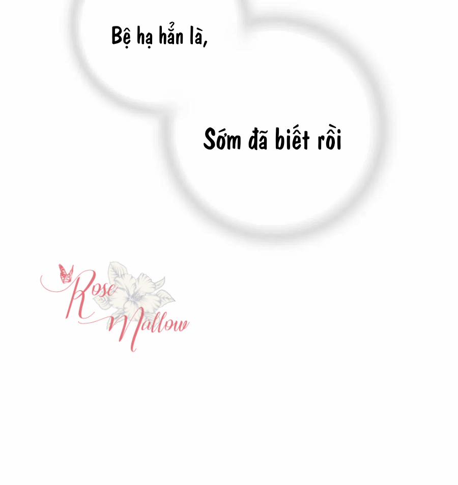 Hoa Vũ Dao 45 trang 53