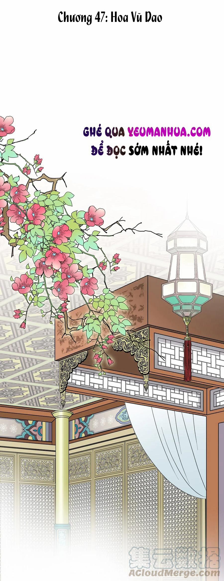 Hoa Vũ Dao 47 trang 4