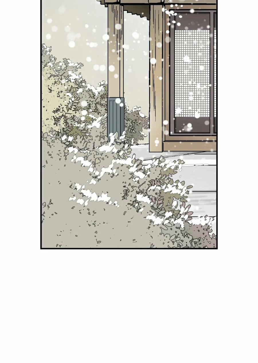 Hoa Vũ Dao 49 trang 3