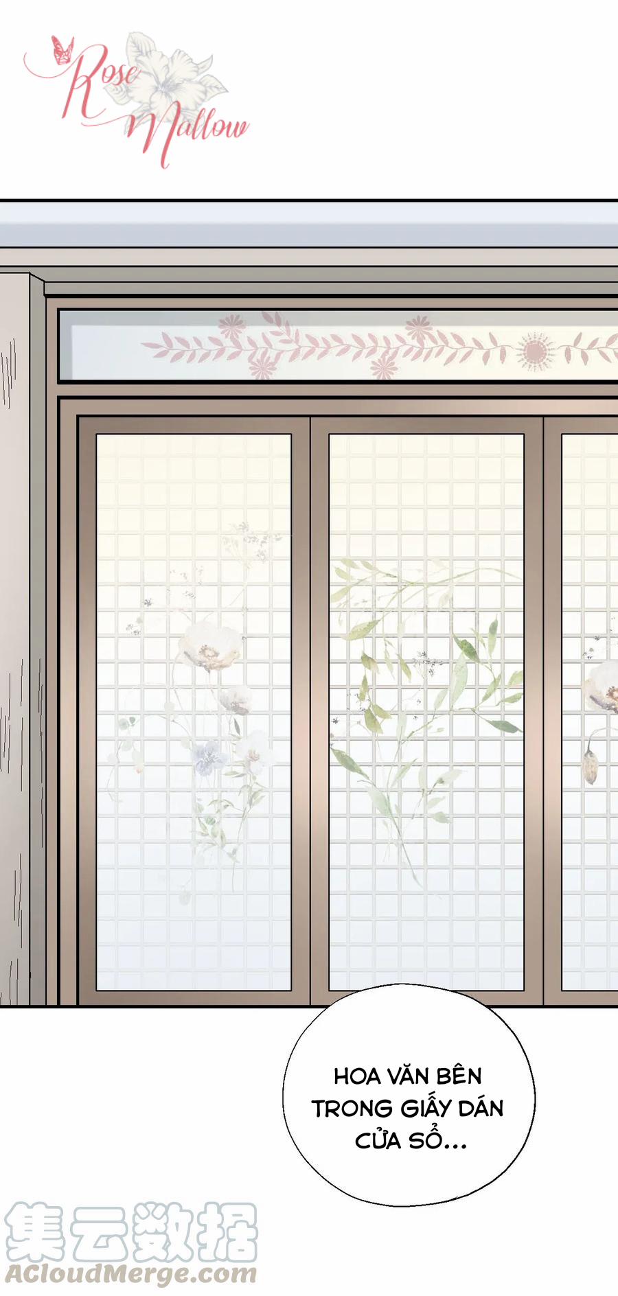 Hoa Vũ Dao 49 trang 4