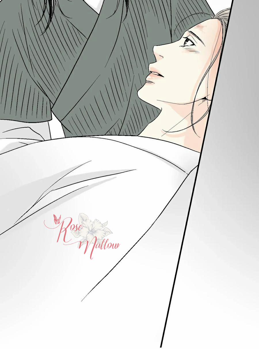 Hoa Vũ Dao 49 trang 46