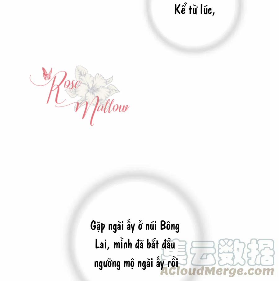 Hoa Vũ Dao 51 trang 28