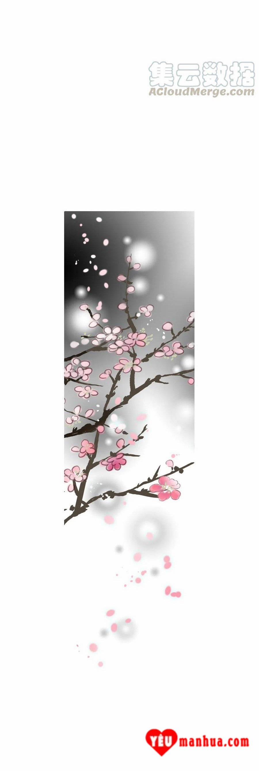 Hoa Vũ Dao 54 trang 33