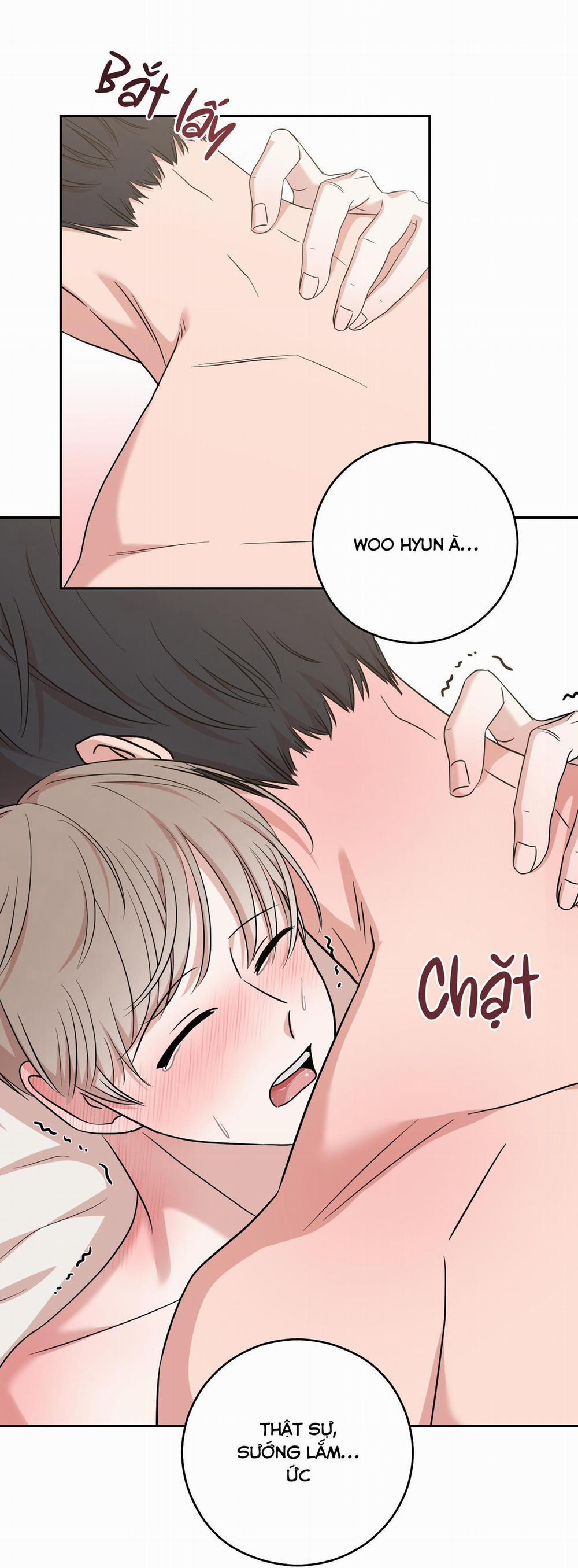 Hoàn Cảnh Không Thể Tránh 11 trang 210