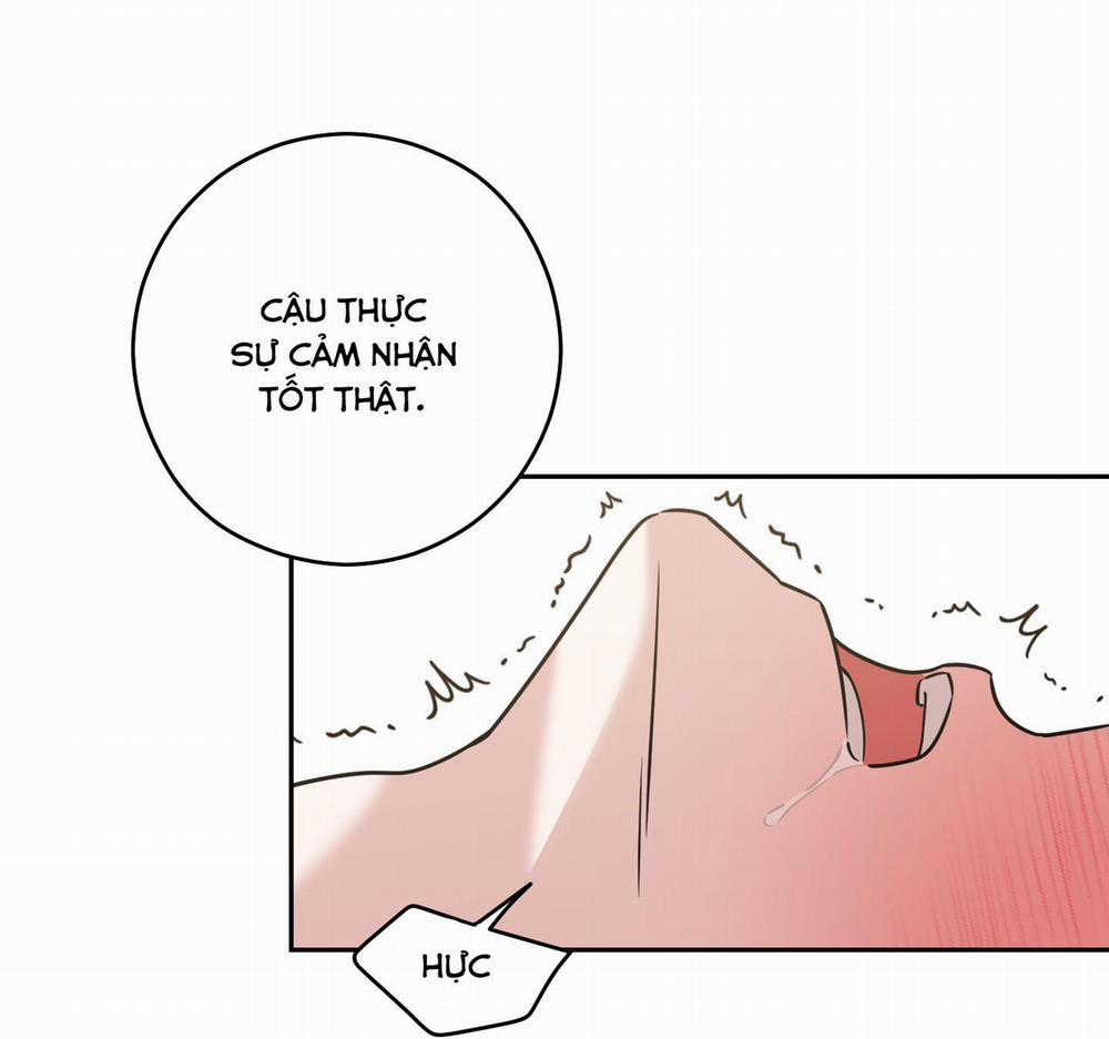 Hoàn Cảnh Không Thể Tránh 11 trang 44