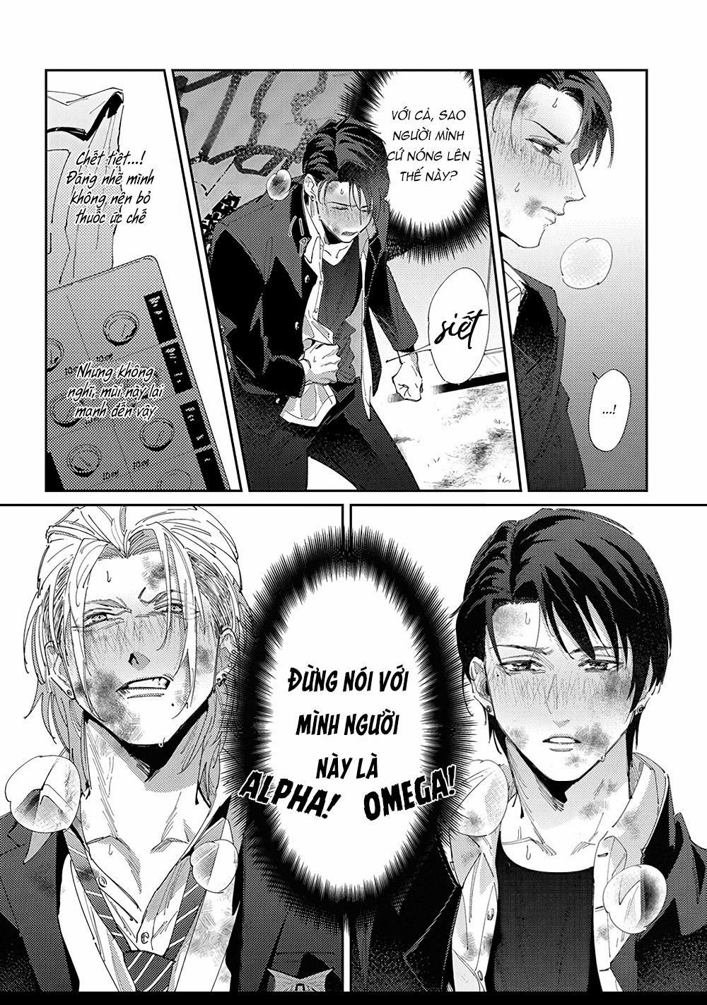 Hoàn cảnh nhà shima chan 2 trang 14