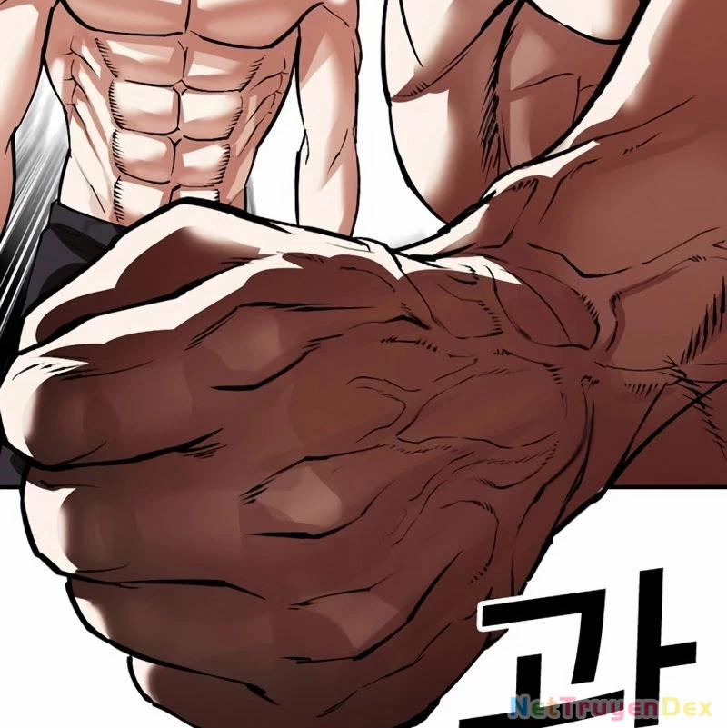 Hoán Đổi Diệu Kỳ 536 trang 267