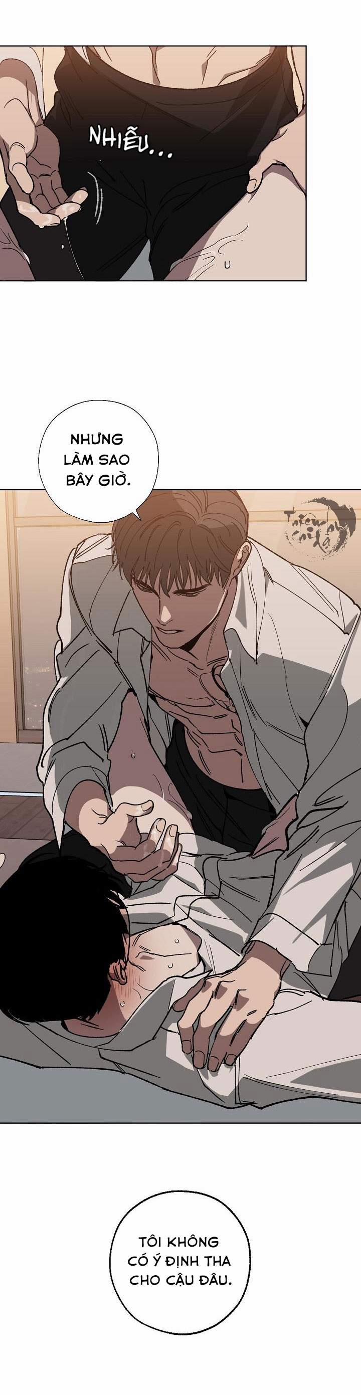 Hoán Vị 20 trang 7