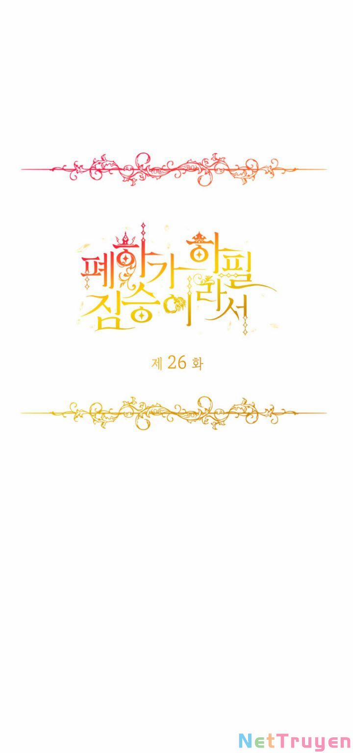 Hoàng Đế Bệ Hạ Là Mãnh Thú 26 trang 0