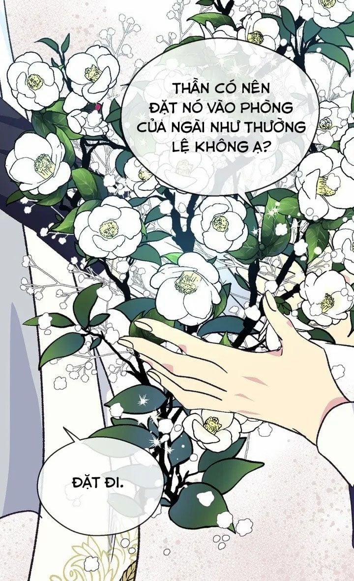 Hoàng Phi Bị Ruồng Bỏ 68 trang 10