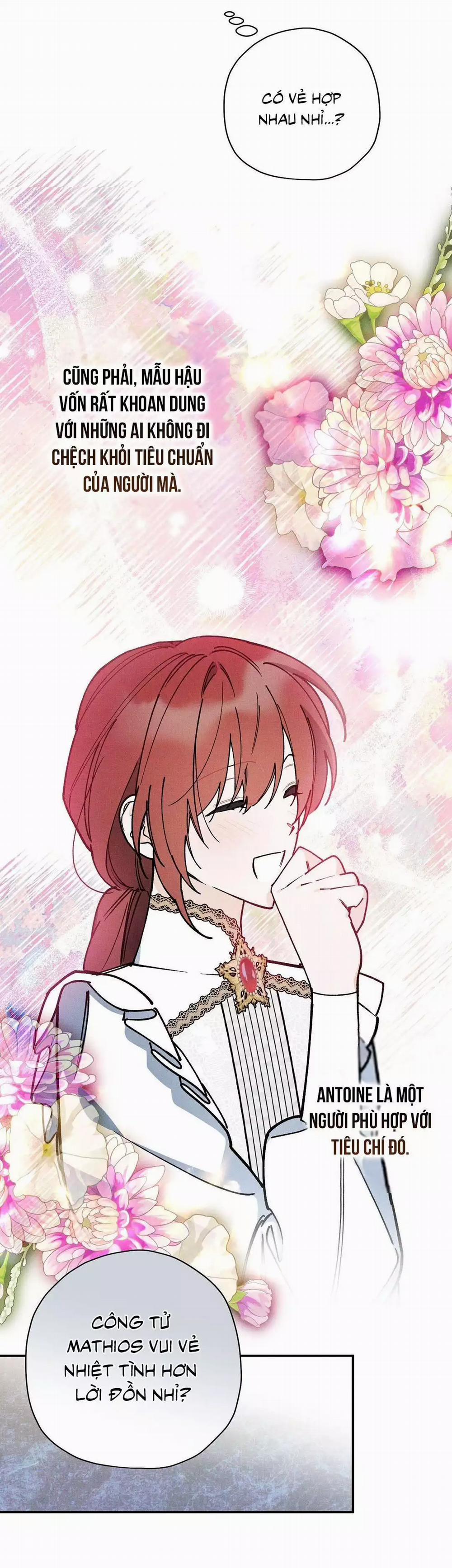 Hoàng Tử Hư Hỏng Che Giấu Mình Là Omega 66 trang 12