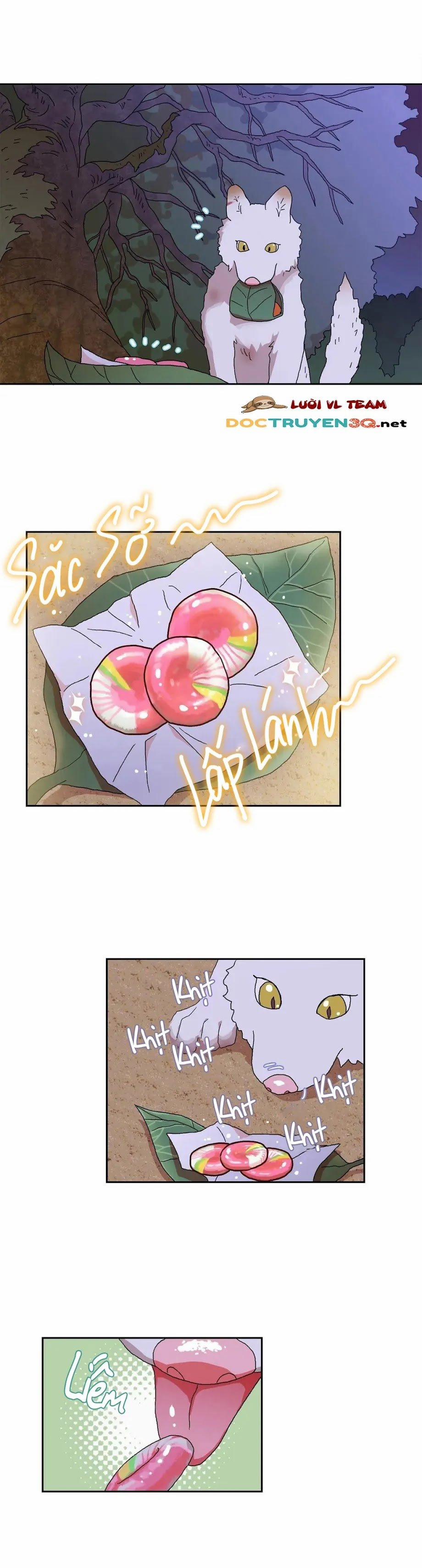 Học Giả Bán Nguyệt 5.2 trang 12