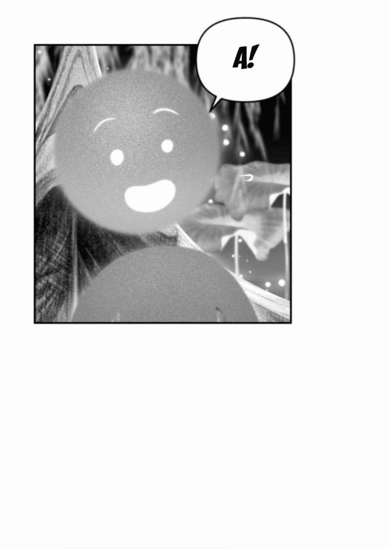 Học Sinh Trường Trung Học Nghệ Thuật Illip 3 trang 51