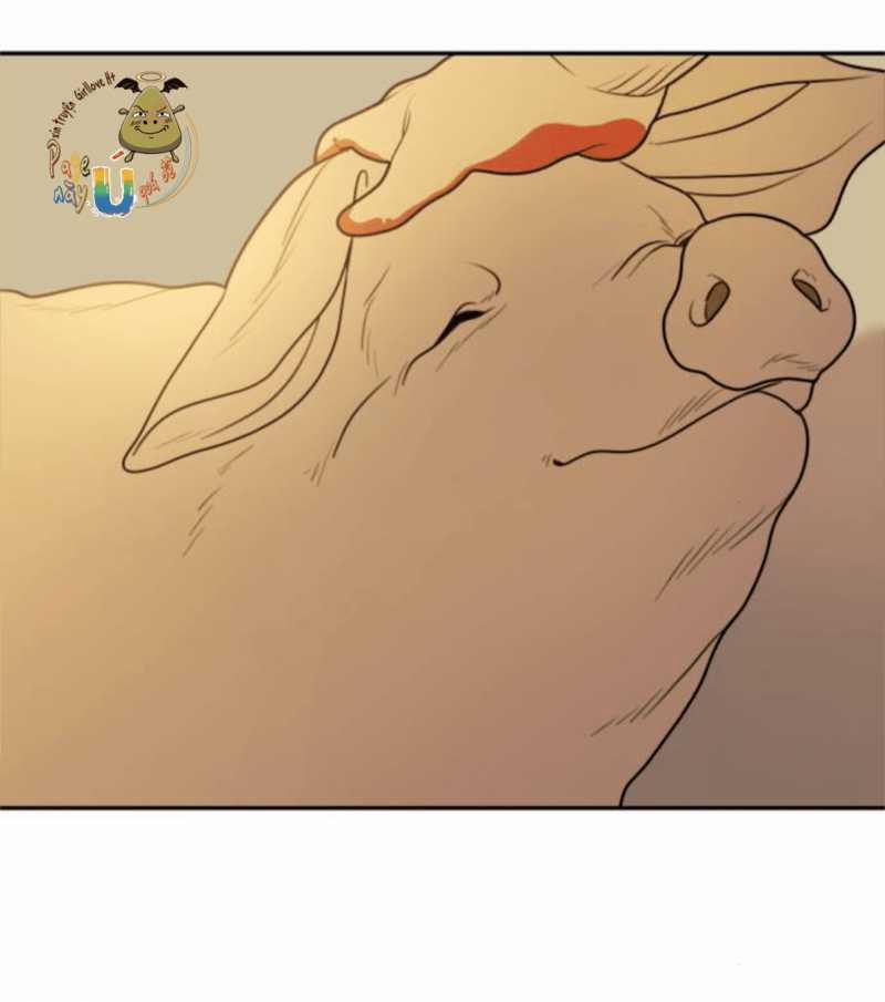 Học Sinh Trường Trung Học Nghệ Thuật Illip 4 trang 17