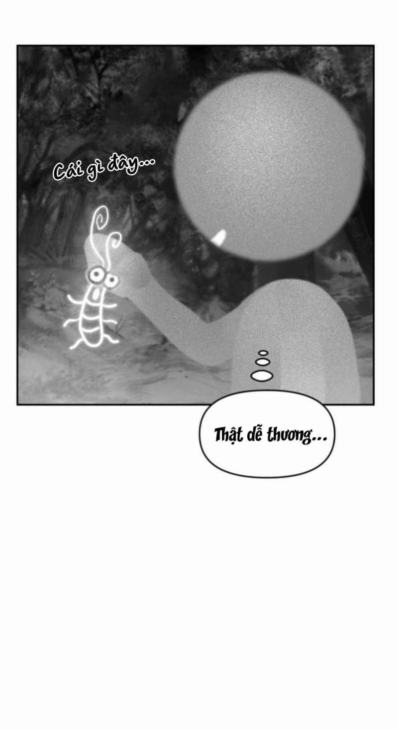 Học Sinh Trường Trung Học Nghệ Thuật Illip 4 trang 6