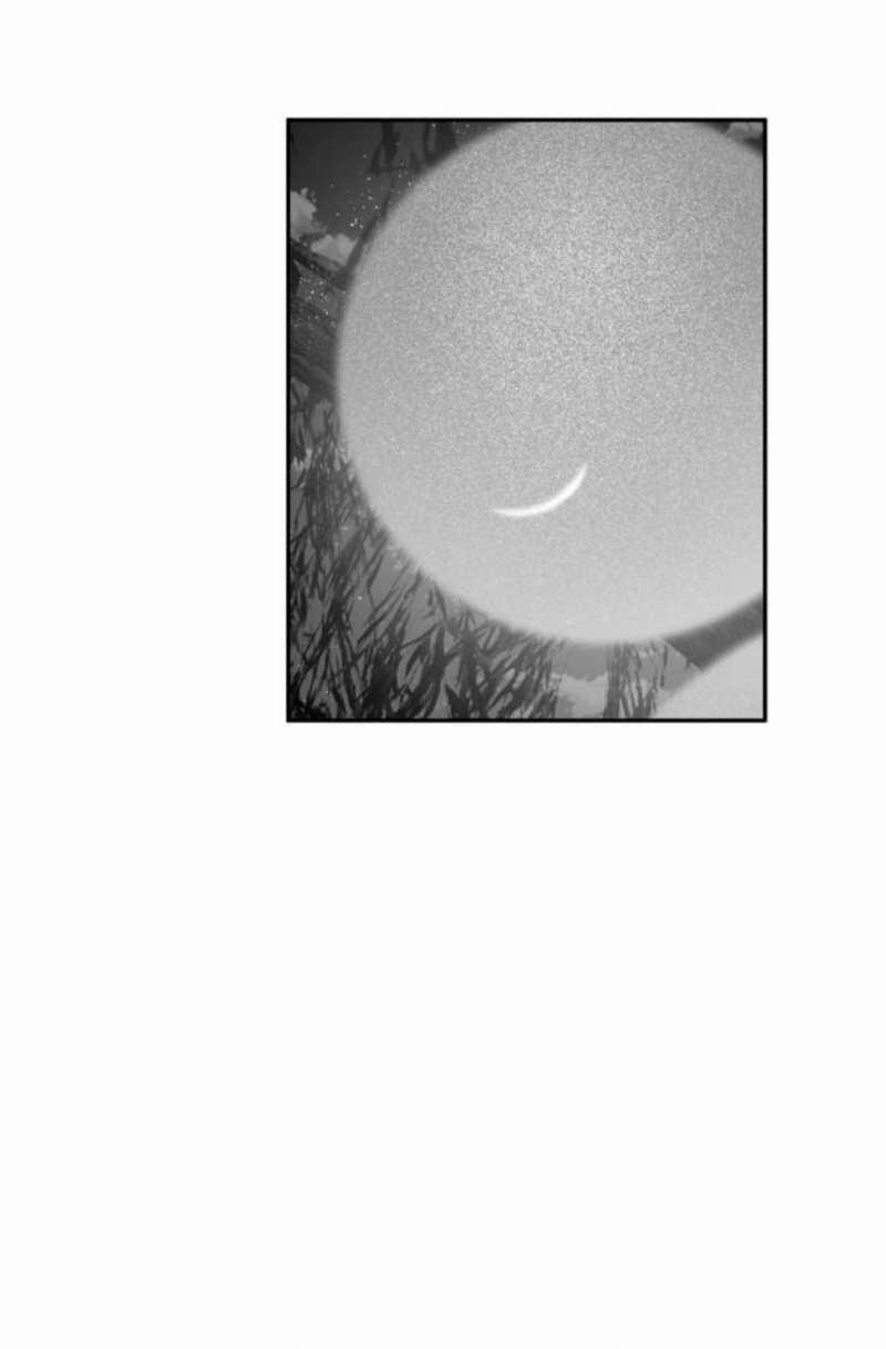 Học Sinh Trường Trung Học Nghệ Thuật Illip 6 trang 8