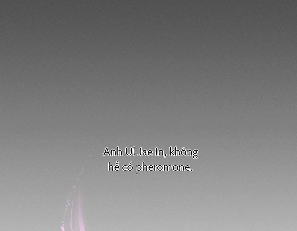 Hội Chứng Minmotion 14 trang 6