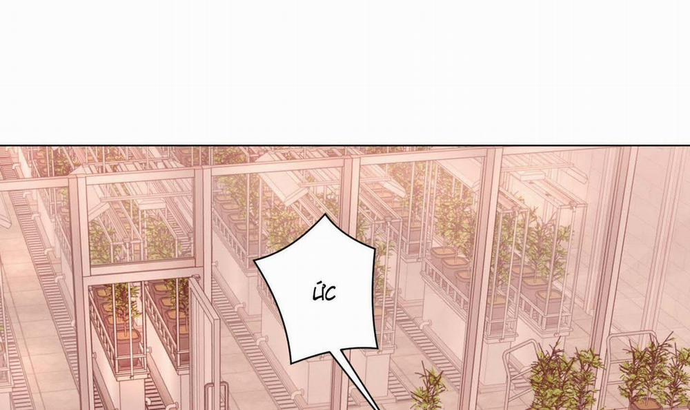 Hội Chứng Minmotion 49 trang 33