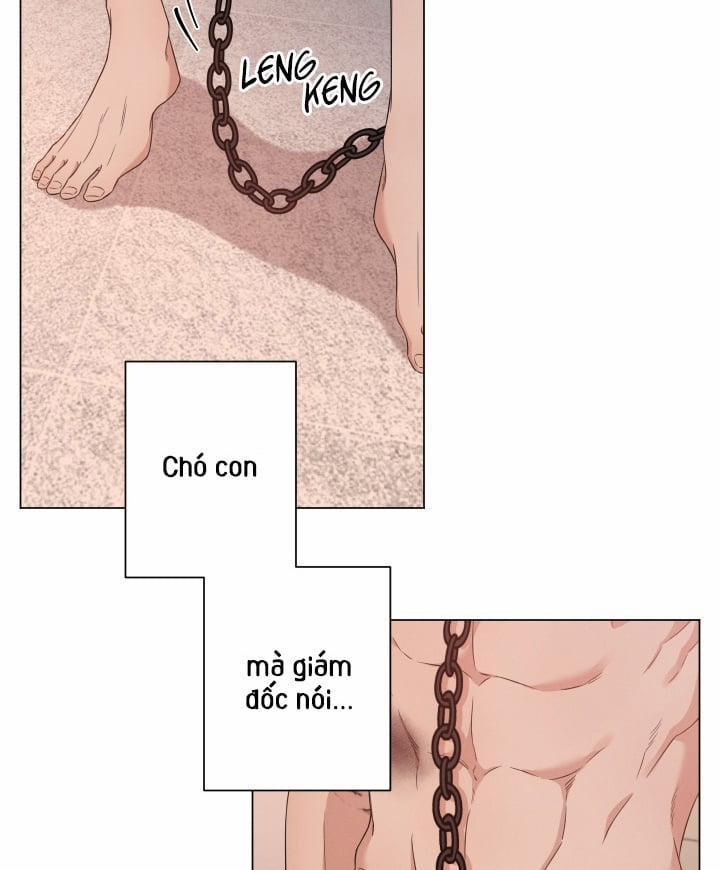 Hội Chứng Minmotion 8 trang 39