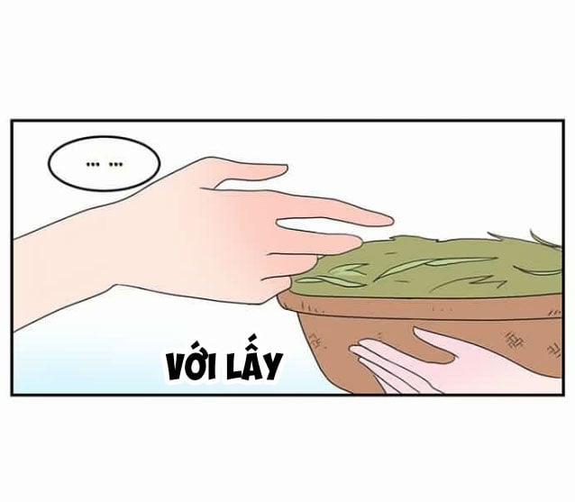 Hội Chứng Nam Phụ 5 trang 23