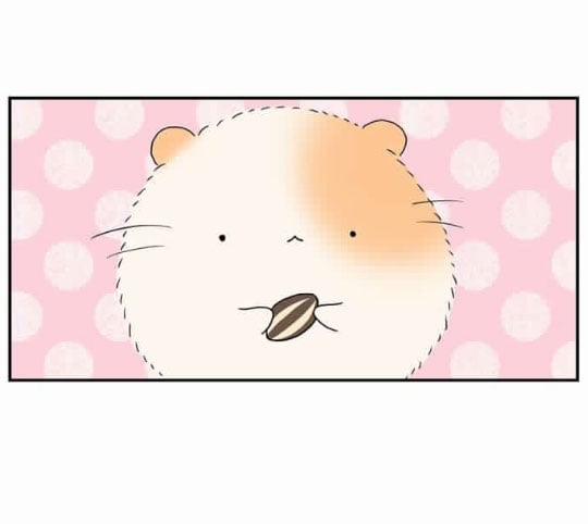 Hội Chứng Nam Phụ 5 trang 33