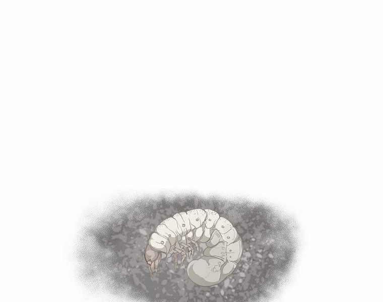 Hồi Quy Trở Lại Thành Kẻ Vô Dụng 7 trang 145