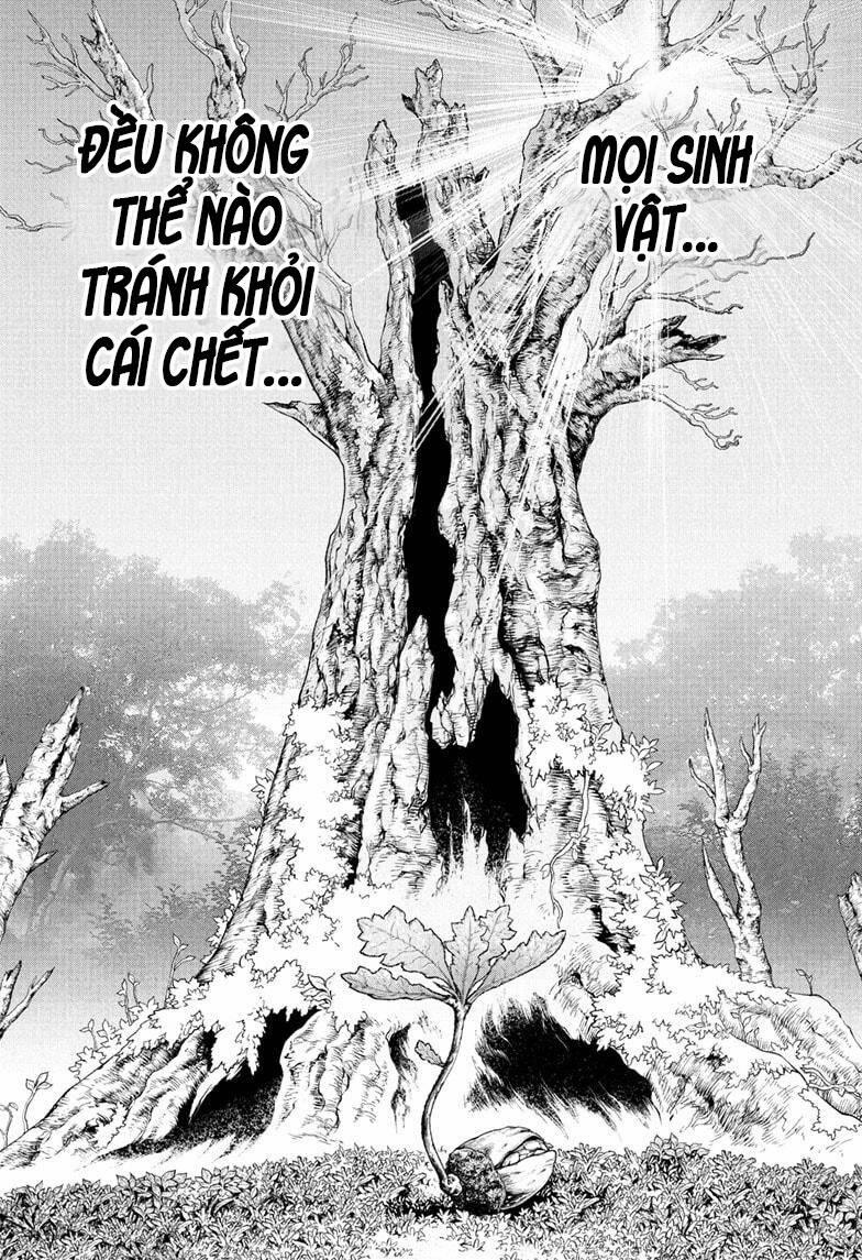 Hồi Sinh Thế Giới 230 trang 1