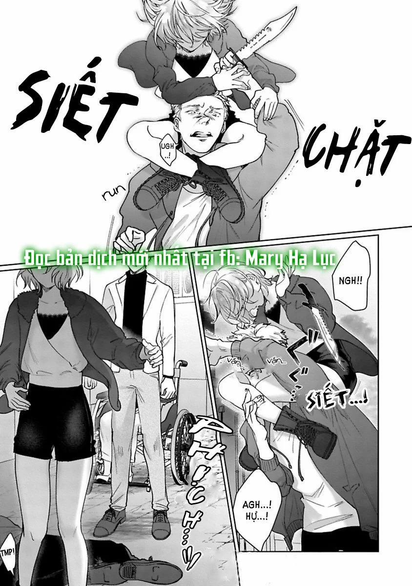 Hôm Nay, Hãy Yêu Và Đừng Giết Nhau Nhé 7.1 trang 4