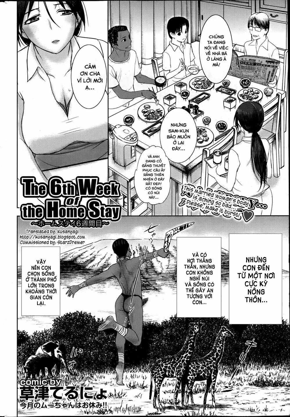 Homestay daydream 4 trang 2