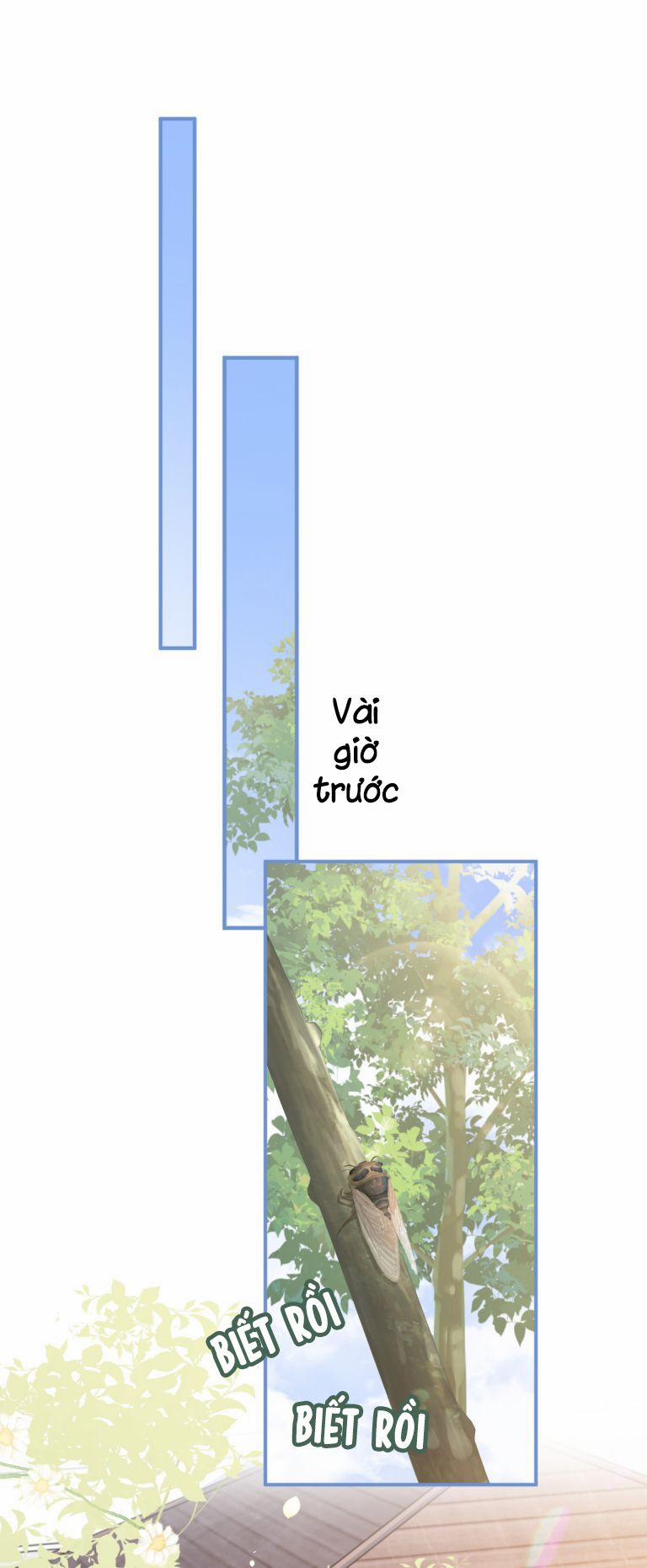 Hòn Đảo Thanh Mai 1 trang 7