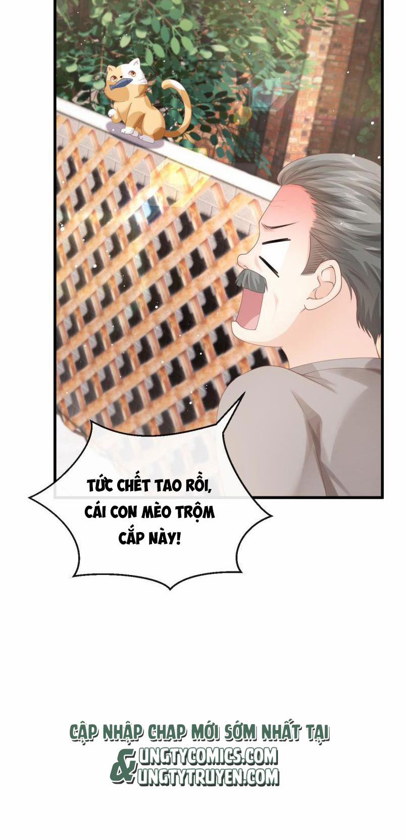 Hòn Đảo Thanh Mai 11 trang 11