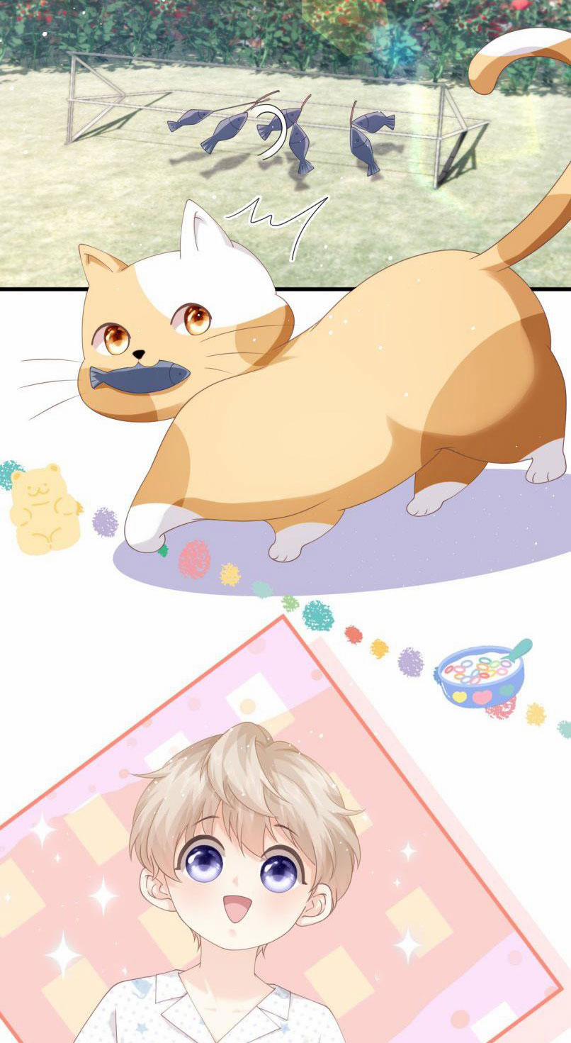 Hòn Đảo Thanh Mai 11 trang 8