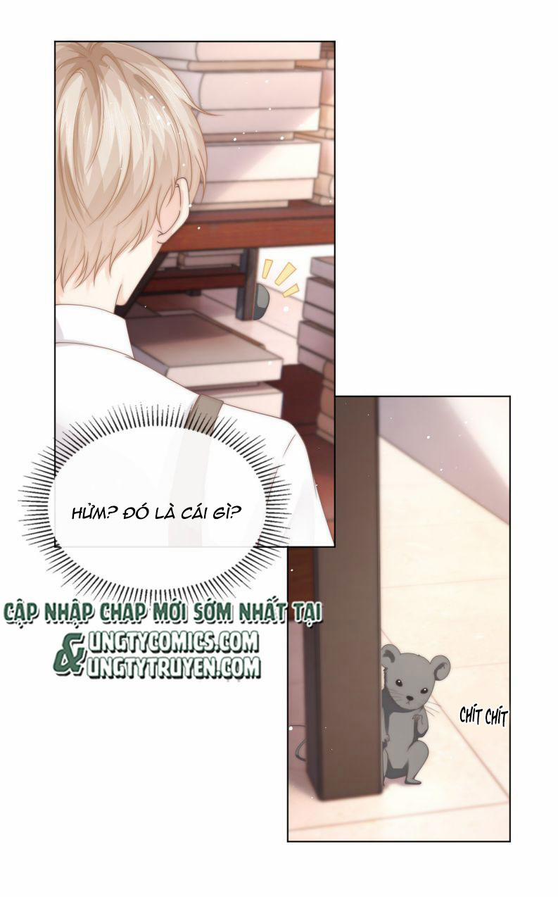 Hòn Đảo Thanh Mai 7 trang 36