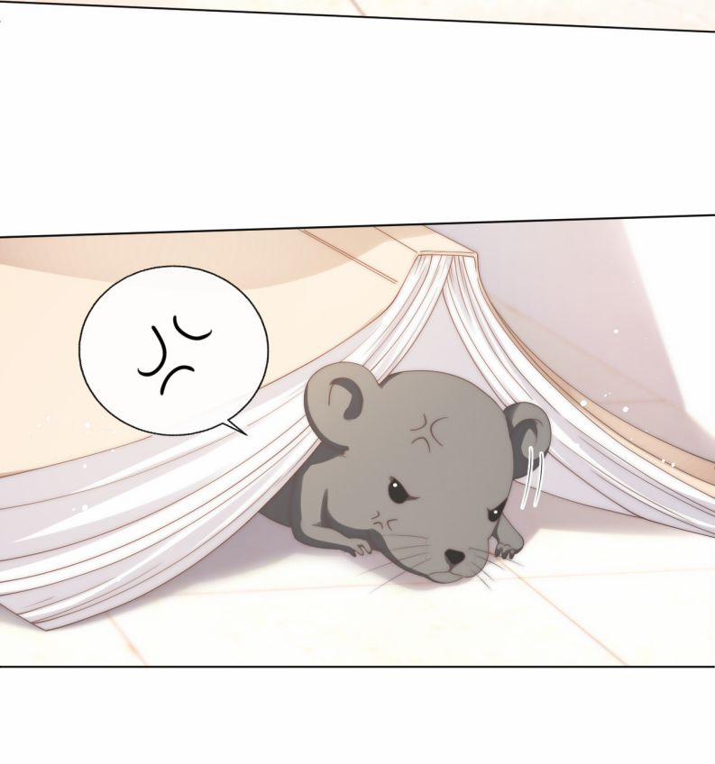 Hòn Đảo Thanh Mai 7 trang 39