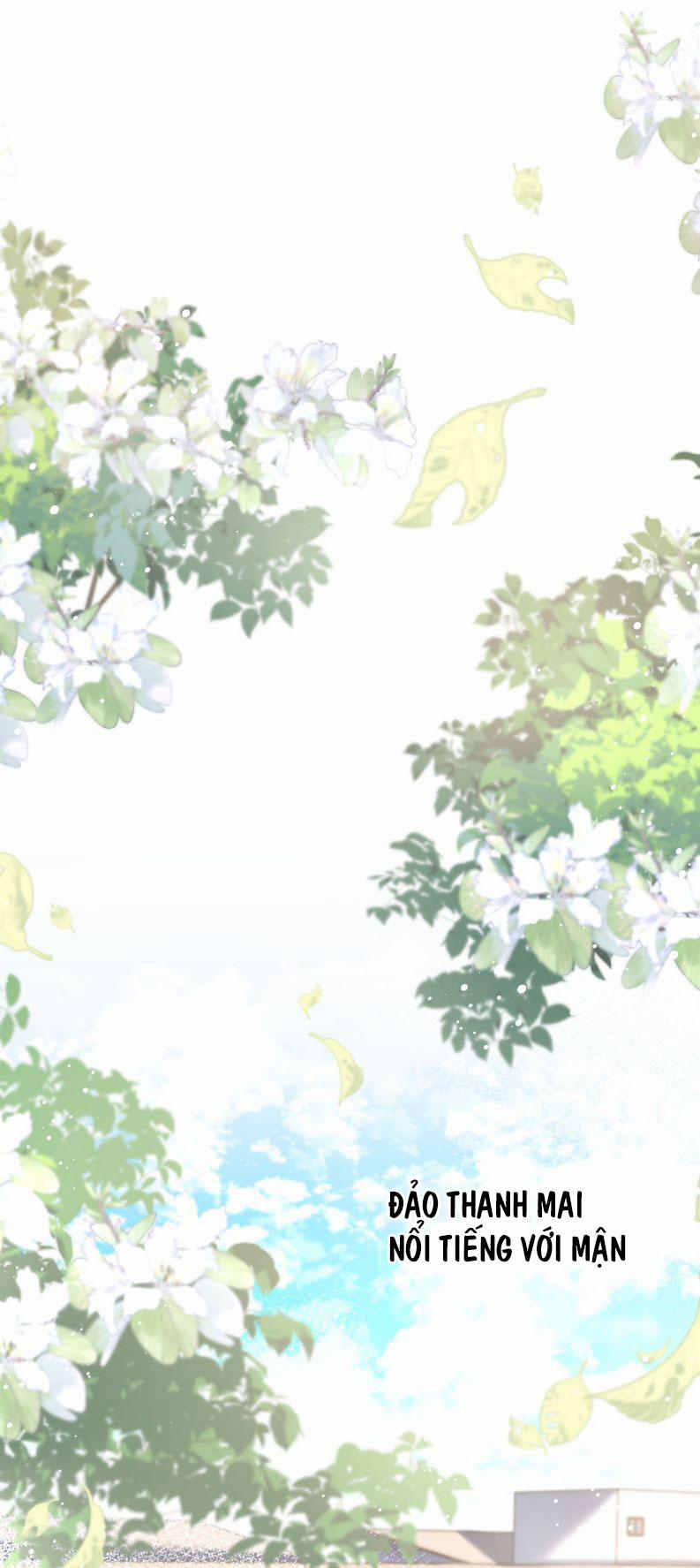 Hòn Đảo Thanh Mai 7 trang 9