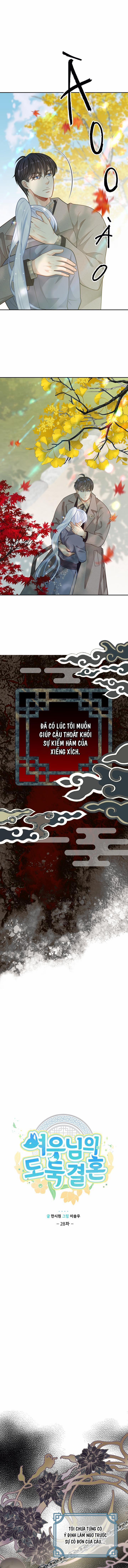 Hôn Nhân Bị Đánh Cắp Của Hồ Ly 28 trang 0