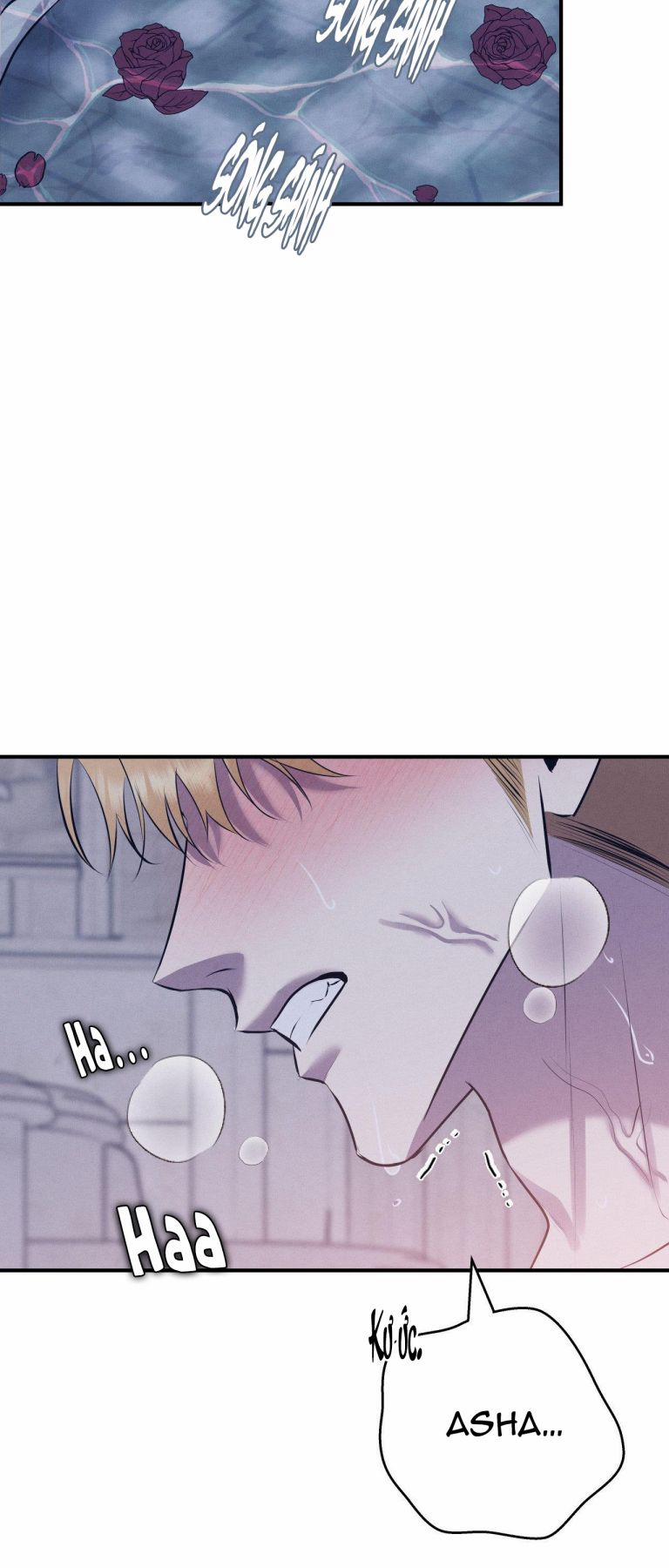 Hôn Nhân Gia Tộc 1 trang 5