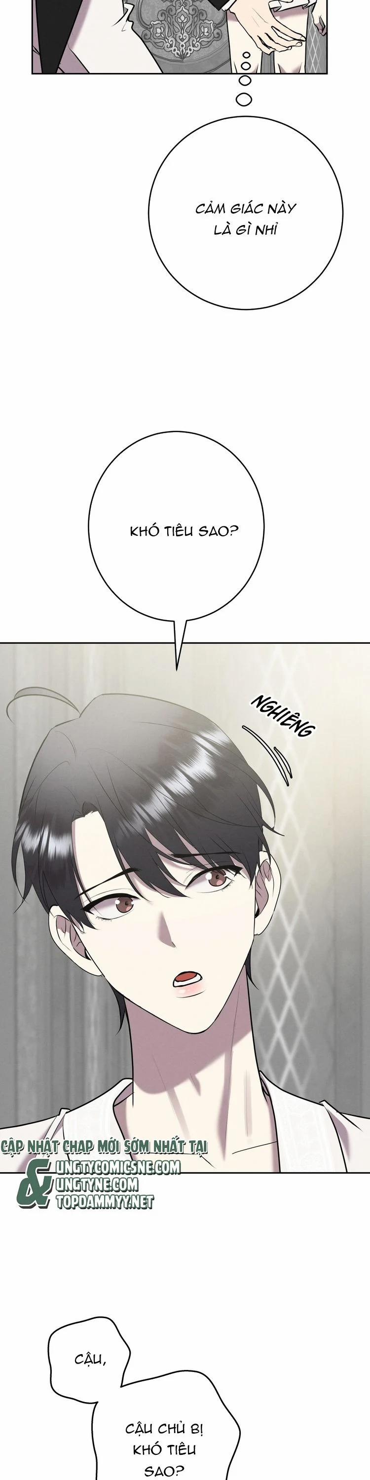 Hôn Nhân Gia Tộc 16 trang 2