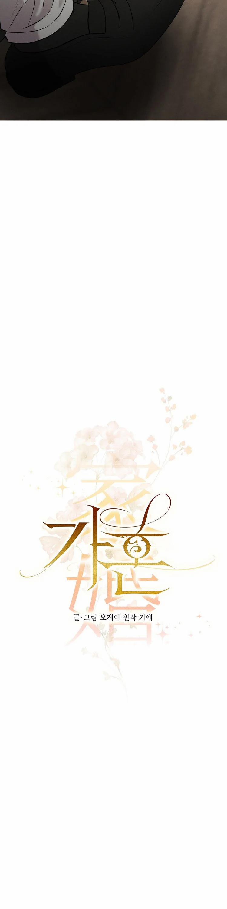 Hôn Nhân Gia Tộc 16 trang 7