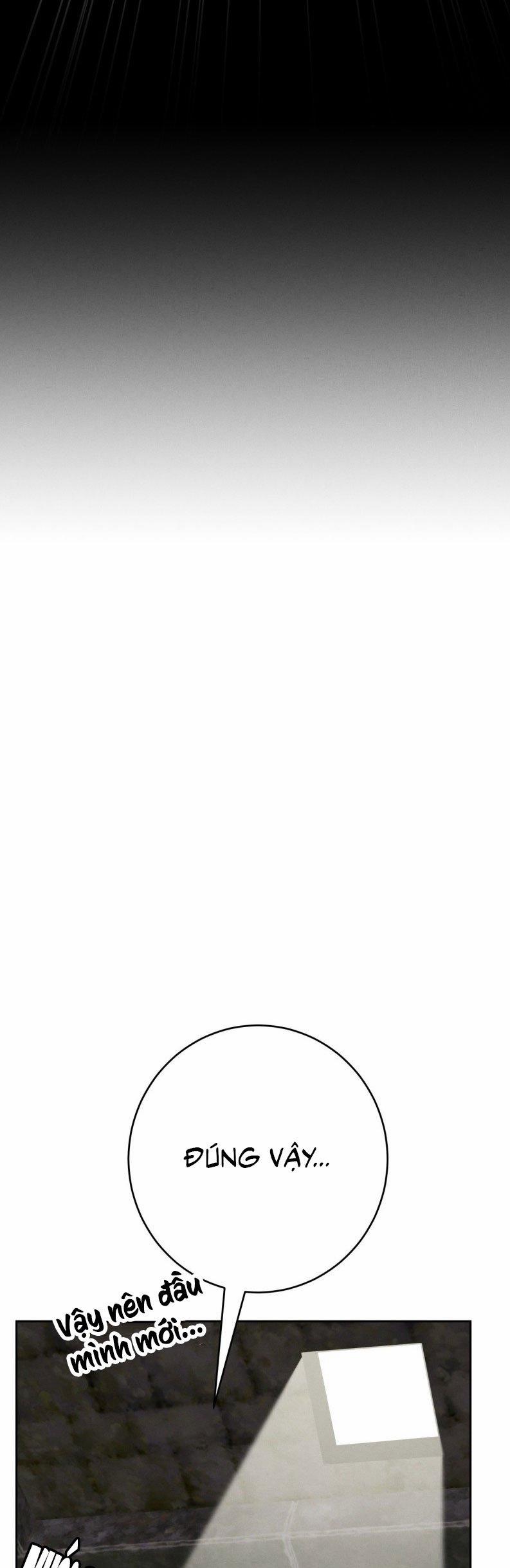 Hôn Nhân Gia Tộc 22 trang 46