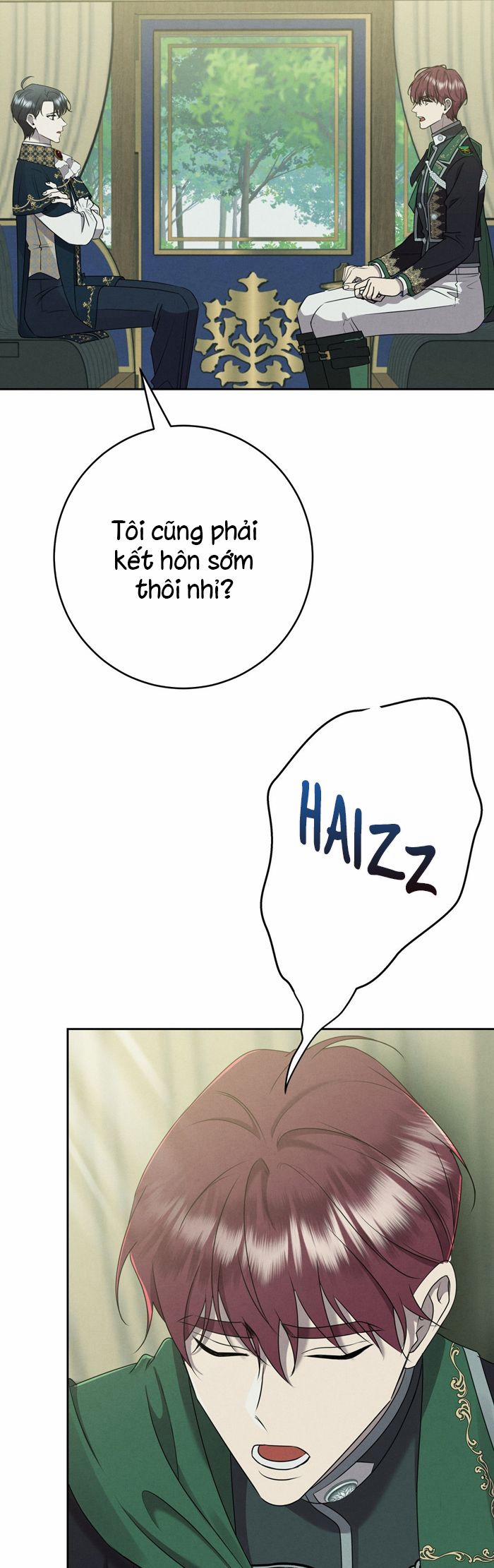 Hôn Nhân Gia Tộc 4 trang 2