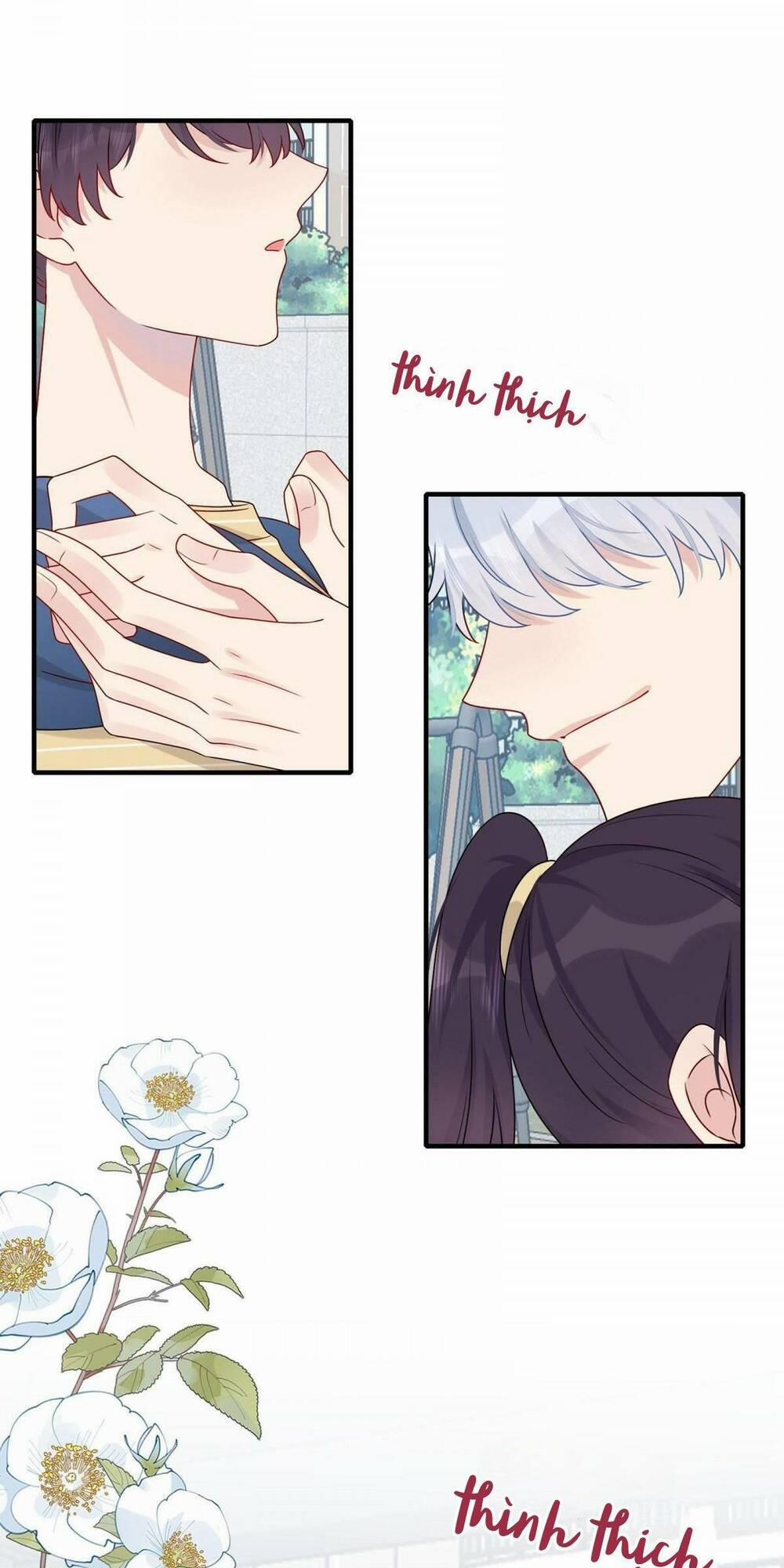 Hôn Nhân Hợp Đồng: Kết Hôn Với Thanh Mai Xảo Quyệt 14 trang 18