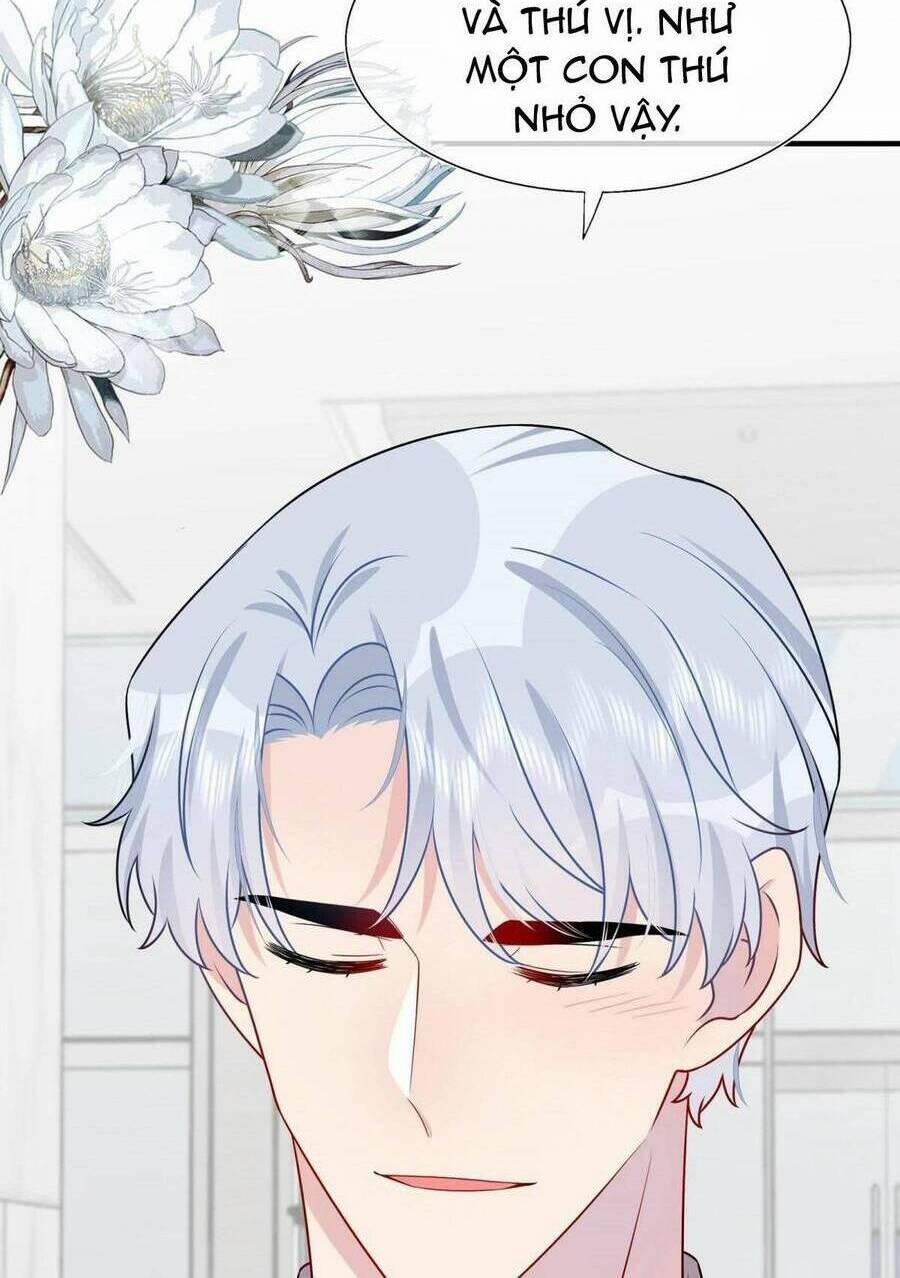 Hôn Nhân Hợp Đồng: Kết Hôn Với Thanh Mai Xảo Quyệt 17 trang 13