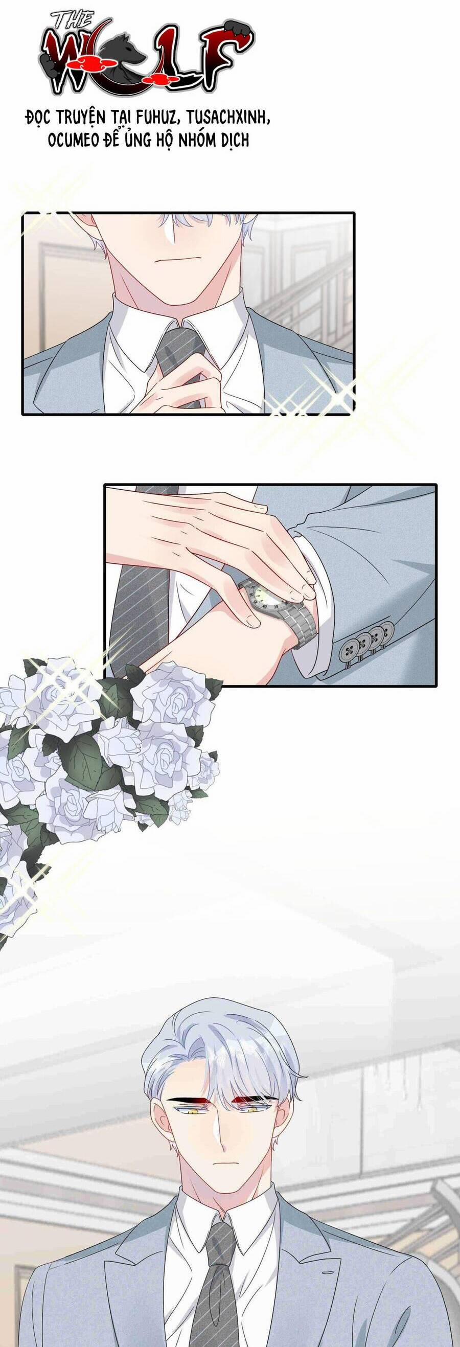 Hôn Nhân Hợp Đồng: Kết Hôn Với Thanh Mai Xảo Quyệt 53 trang 6