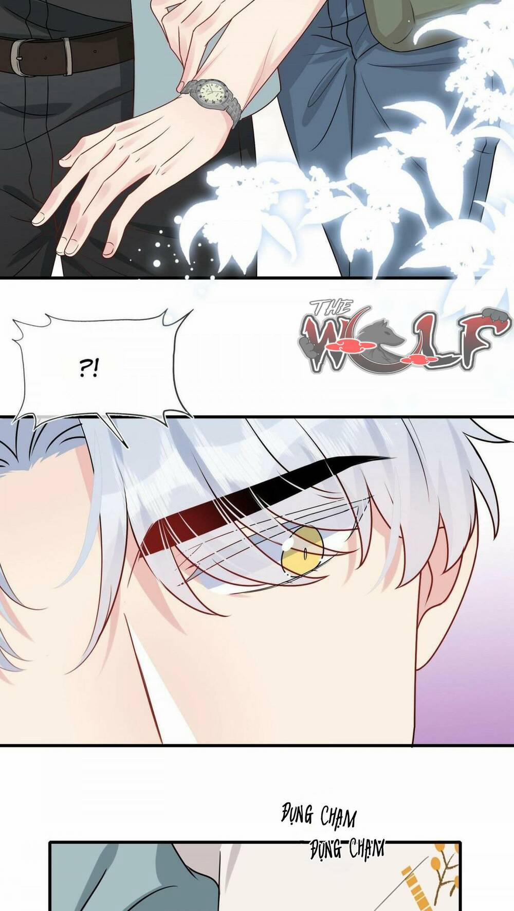 Hôn Nhân Hợp Đồng: Kết Hôn Với Thanh Mai Xảo Quyệt 9 trang 18