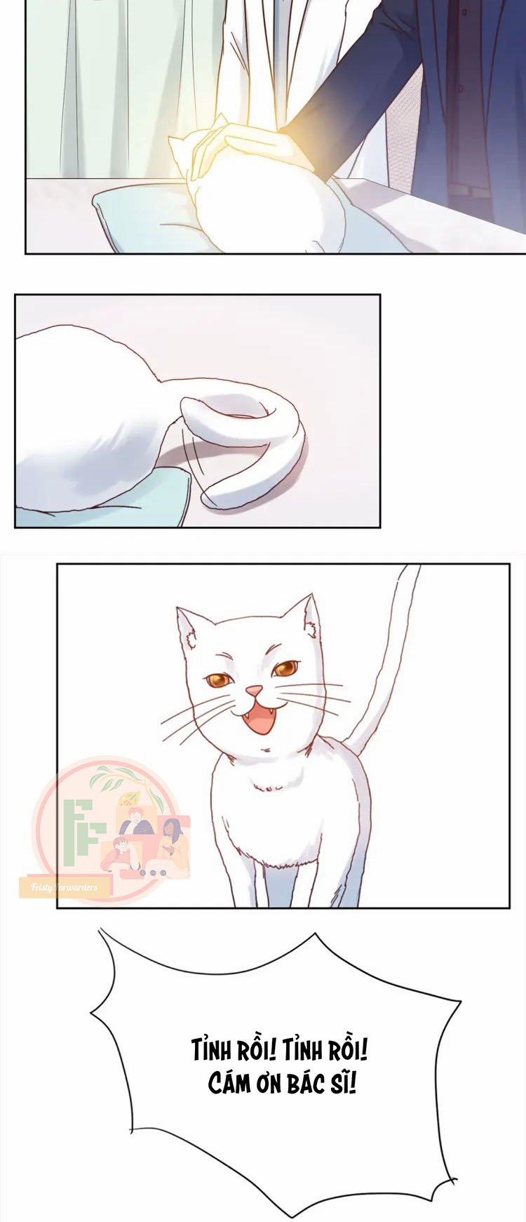 Hôn Thê Của Lang Vương 5 trang 11