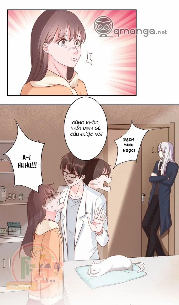 Hôn Thê Của Lang Vương 5 trang 3