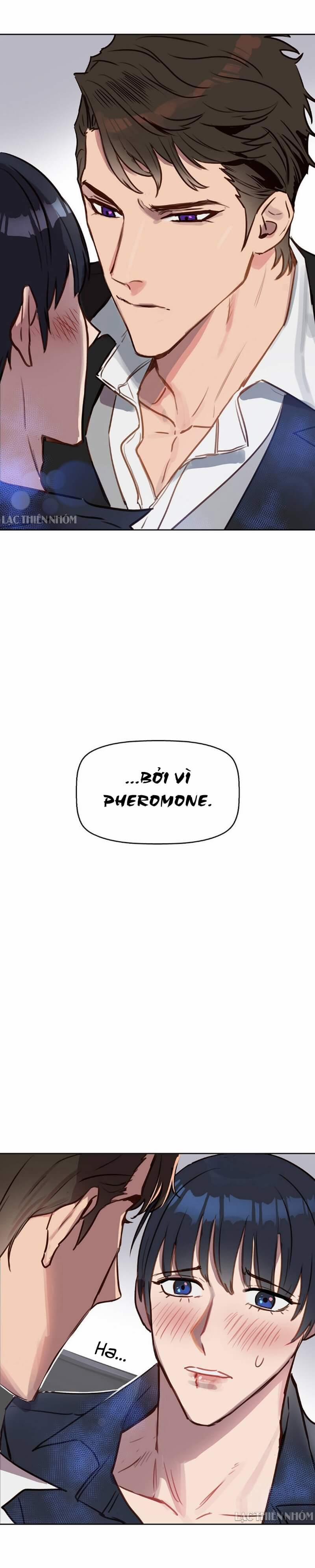 Hôn Tôi Đi, Đồ Dối Trá 5 trang 4