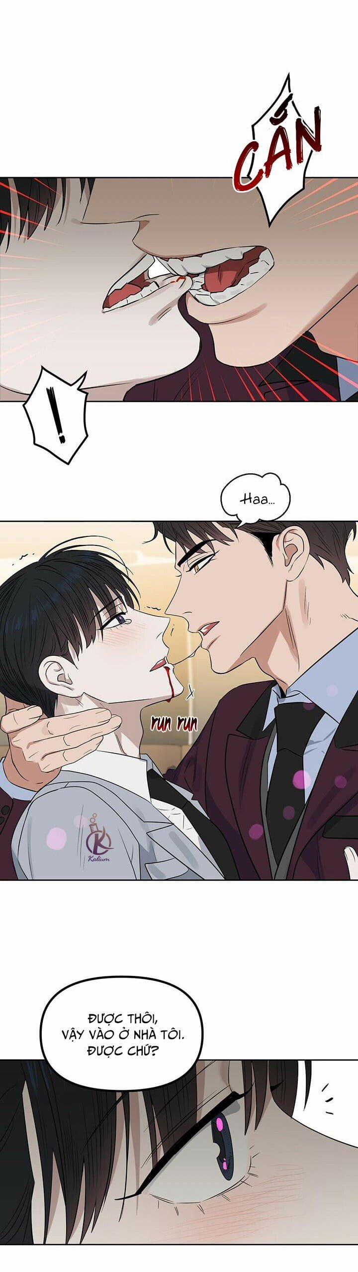 Hôn Tôi Đi, Đồ Dối Trá 57.5 trang 8